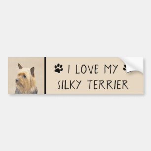 Silky Terrier Painting - Cute Original Dog Art Bumpersticker