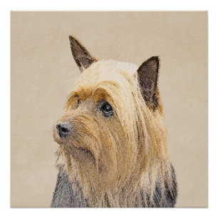 Silky Terrier Painting - Cute Original Dog Art Perfect Poster