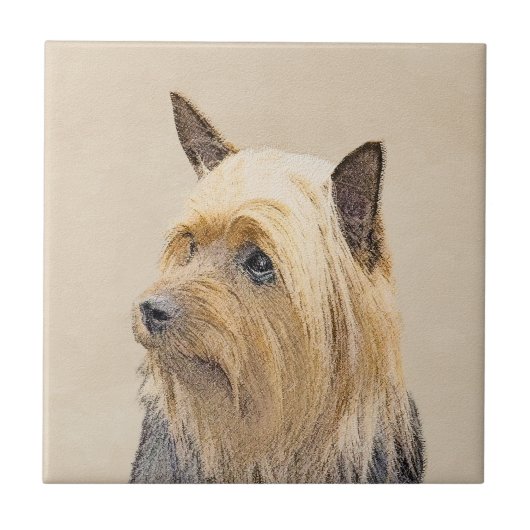 Silky Terrier Painting - Cute Original Dog Art Tegeltje (Voorkant)
