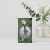 Silky Turken Girl Visitekaartje (Staand voorkant)