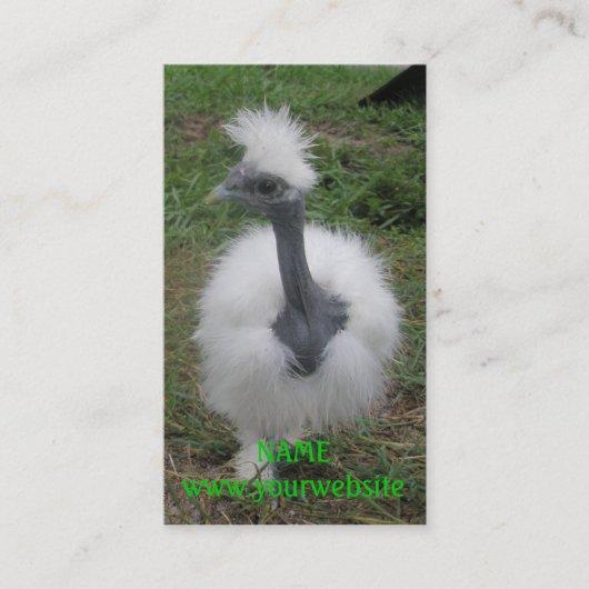 Silky Turken Girl Visitekaartje (Voorkant)