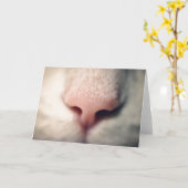 Silky White Kat Wenskaart Kaart (Gele Bloem)