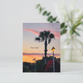 Sillouettes van Palm en Vlag bij zonsondergang Briefkaart (Staand voorkant)