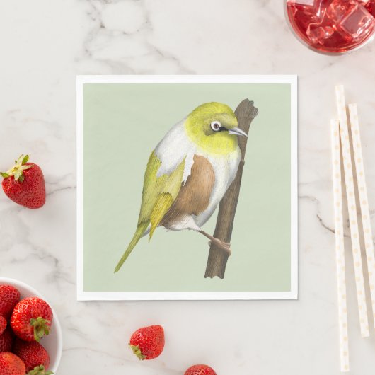 Sillvereye tauhou Nieuw-Zeeland vogel Servet (Insitu)