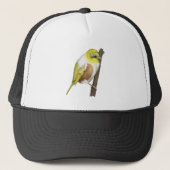 Sillvereye tauhou Nieuw-Zeeland vogel Trucker Pet (Voorkant)