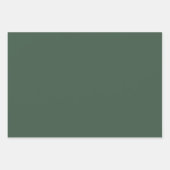 Silly Goose ABA Xmas RBT BCBA Behavior Therapist Inpakpapier Vel (Voorkant 3)