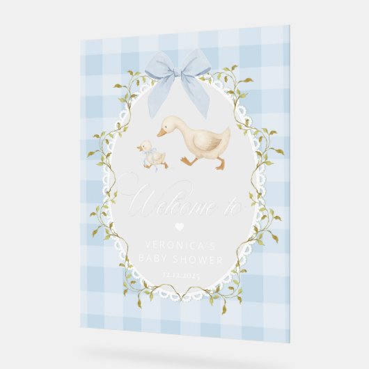 Silly Goose Blue Gingham Baby Shower Welcome Acryl Bord (Hoek)