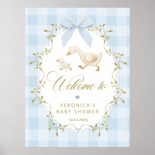 Silly Goose Blue Gingham Baby Shower Welcome Poster (Voorkant)