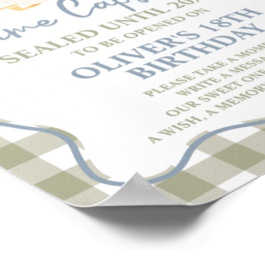 Silly Goose Blue Green 1st Birthday Time Capsule Poster (Hoek)