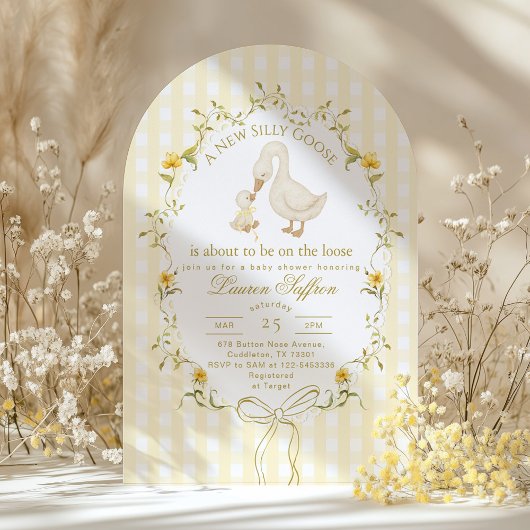 Silly Goose Gender neutral Whimsical Baby Shower Kaart