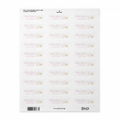 Silly Goose Pink Baby Shower Return Address Etiket (Full Sheet)