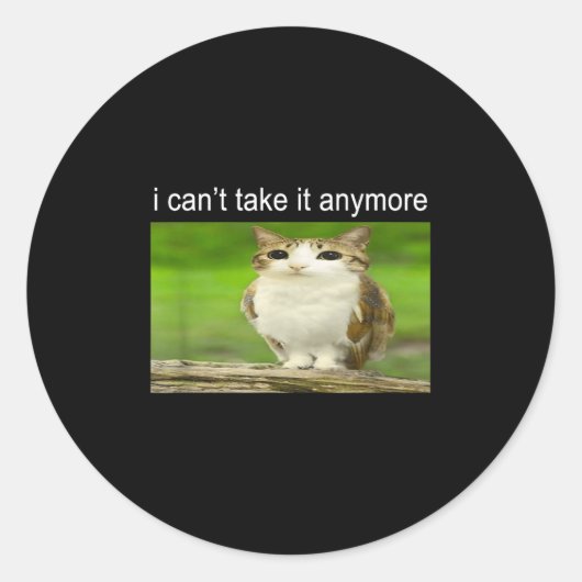 Silly Owl Cat Meme I Can't Take It Anymore Ronde Sticker (Voorkant)
