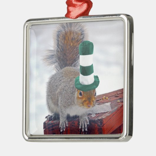 Silly Squirrel with Green Striped Hat Ornament (Links)