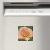 Siloam Dubbel Klassiek - Daylily Magneet (Insitu (Vaatwasser))