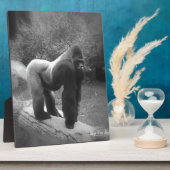 Silveback Gorilla Fotoplaat (Zijkant)