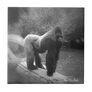 Silveback Gorilla Tegeltje