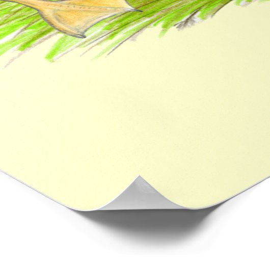 Silver Appleyard Poster (Hoek)