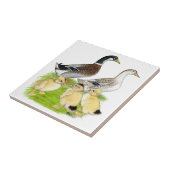 Silver Appleyard Tegeltje (Zijkant)