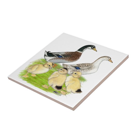 Silver Appleyard Tegeltje (Zijkant)