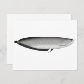 Silver Arowana Notitiekaartje (Voorkant / Achterkant)