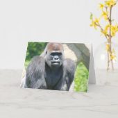 Silver Back Gorilla Kaart (Gele Bloem)