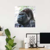 Silver Back Gorilla Poster (Thuiskantoor)