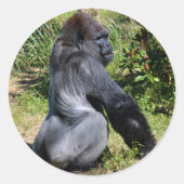 Silver-backgorilla-ronde sticker (Voorkant)