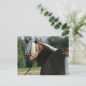 Silver Bay Miniatuur Horse Mare Briefkaart (Staand voorkant)
