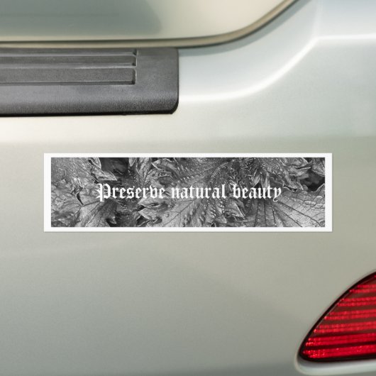 Silver Beauty Bumpersticker (Op auto)