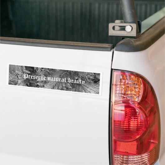Silver Beauty Bumpersticker (Op Truck)