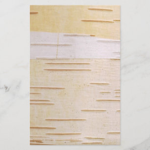 Silver Birch Bark Stationery Briefpapier