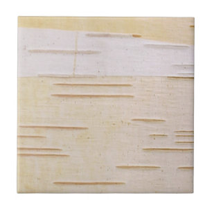 Silver Birch Bark Tile Tegeltje
