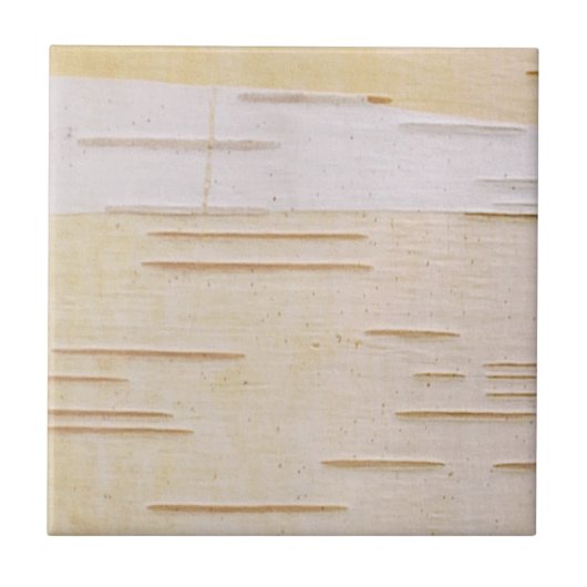 Silver Birch Bark Tile Tegeltje (Voorkant)