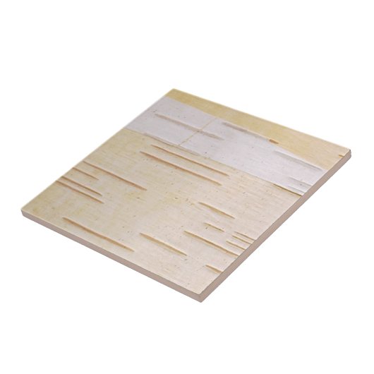 Silver Birch Bark Tile Tegeltje (Zijkant)