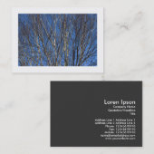 Silver Birch Branches 02 (grensverleggend) Visitekaartje (Voorkant / Achterkant)