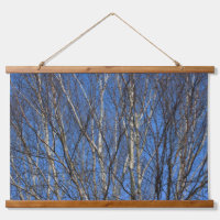 Silver Birch Branches 02