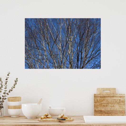 Silver Birch Branches 02 Poster (Keuken)