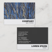 Silver Birch Branches Visitekaartje (Voorkant / Achterkant)