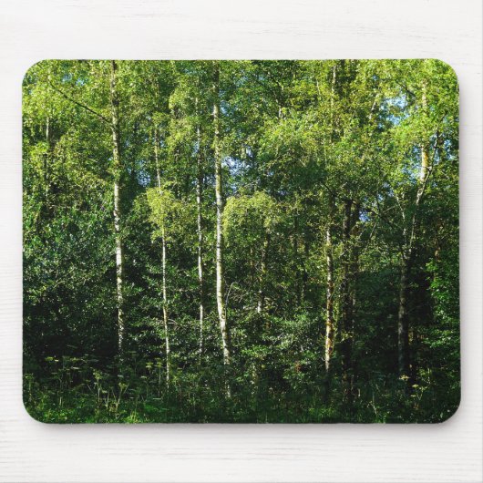 Silver Birch Muismat (Voorkant)