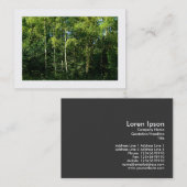 Silver Birch Trees, foto van Mini Visitekaartje (Voorkant / Achterkant)