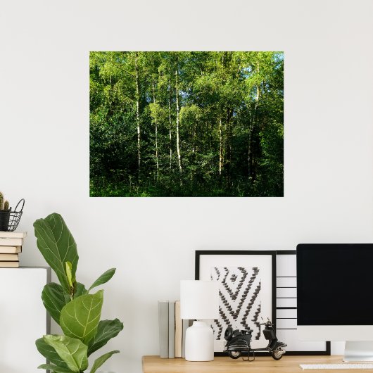 Silver Birch Trees Poster (Thuiskantoor)