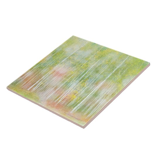 Silver Birch Trees Tegeltje (Zijkant)