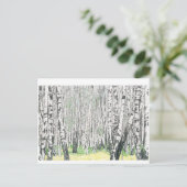 Silver Birch Wood - Briefkaart (Staand voorkant)