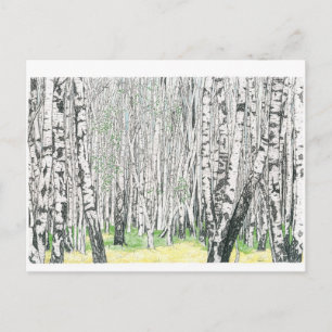 Silver Birch Wood - Briefkaart