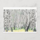 Silver Birch Wood - Briefkaart (Voorkant)