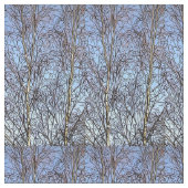 Silver Birches Fabric Stof (Close Up)