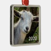 Silver Blue Eyed Nigerian Dwarf Dairy Goat Kind Metalen Ornament (Rechts)