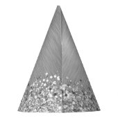 Silver Brushed Metal Glitter Monogram Name Feesthoedjes (Achterkant)