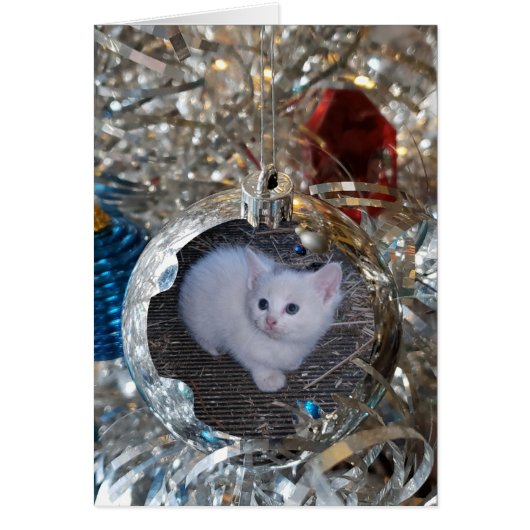 Silver Bulb Full Lijst (Voorkant)