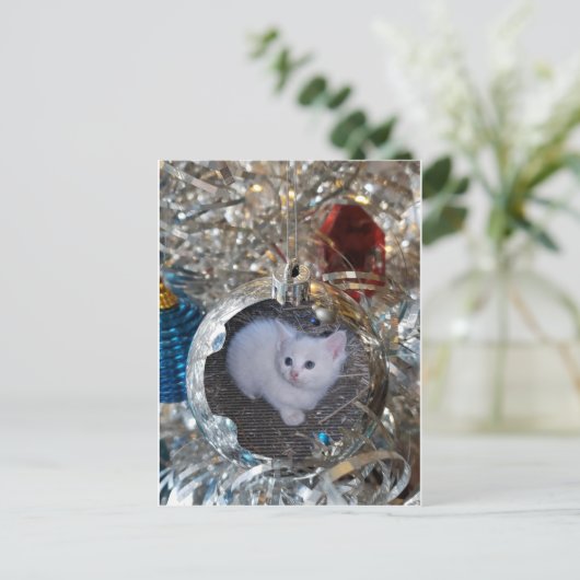 Silver Bulb Full Lijst Briefkaart (Staand voorkant)